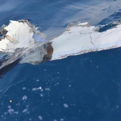  Debris from the ill-fated Lion Air flight JT 610 is pictured at sea in the waters north of Karawang on October 29, 2018. - All 189 passengers and crew aboard a crashed Indonesian Lion Air jet were "likely" killed in the accident, the search and rescue agency said on October 29, as it announced it had found human remains. (Photo by ADEK BERRY / AFP)Editoria: DISLocal: at seaIndexador: ADEK BERRYSecao: transport accidentFonte: AFPFotógrafo: STF