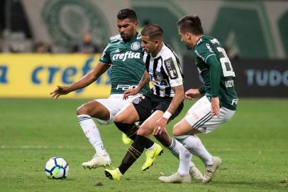 futebol, santos, palmeiras