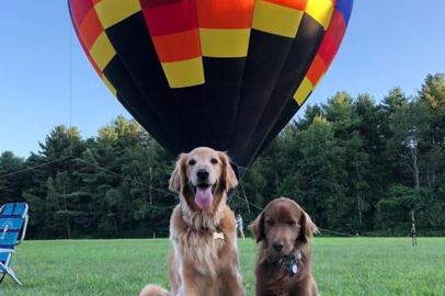 Comer cheeseburger, tomar sorvete, andar de balão e fazer caminhada ao nascer do sol aparentam ser desejos típicos de humanos. Mas essa lista são de alguns itens já cumpridos por Finn, um cachorro de Vermont (EUA) diagnosticado com câncer no mês de maio. As informações são da Folha de S.Paulo.