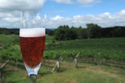  Vinícola Dom Giovanni, produção de uvas e espumantes. Espumante rosé Dom Giovanni.