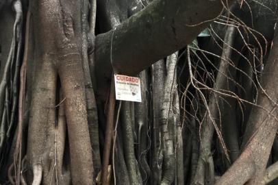 placa de cuidado para enxame de abelhas no parcão