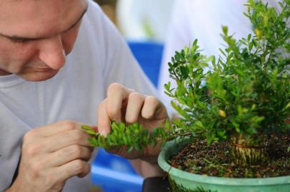  CAXIAS DO SUL, RS, BRASIL, 10/11/2018. Encontro e exposição de Bonsai que acontece na Floricultura Casa do Bonsai. (Porthus Junior/Agência RBS)