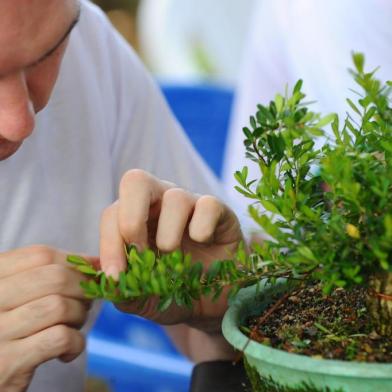  CAXIAS DO SUL, RS, BRASIL, 10/11/2018. Encontro e exposição de Bonsai que acontece na Floricultura Casa do Bonsai. (Porthus Junior/Agência RBS)