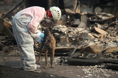 incêndio califórnia