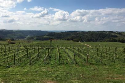 Caderno Viagem - Vinhos na Serra GaúchaFamília Geisse, da Vinícola Geisse, de Pinto Bandeira.  