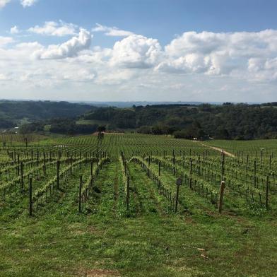 Caderno Viagem - Vinhos na Serra GaúchaFamília Geisse, da Vinícola Geisse, de Pinto Bandeira.  