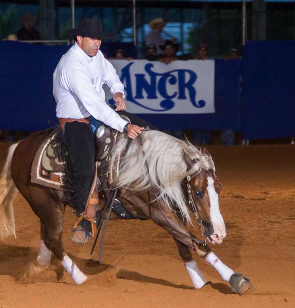 Jogos Americanos Cavalo rédeas Azul (unidade )