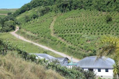 Estrada da Linha Jacinto, em Farroupilha, terá asfaltamento em dois quilômetros