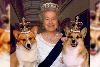 Reprodução/Facebook/The Royal FamilyroyalcorgisImportação Donnahttp://cdn.revistadonna.