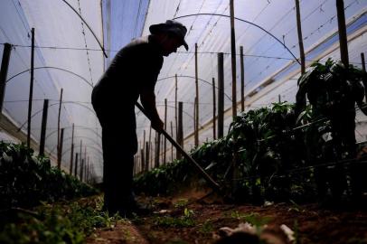  CAXIAS DO SUL, RS, BRASIL 05/12/2018Desde 2014, em dezembro, é promovido no País a Campanha Dezembro Laranja, alusiva a cuidados para prevenir o câncer de pele. Na foto: O agricultor Valderez Antônio Formigueri, 50 anos, foi diagnosticado com melanoma em 2013. (Felipe Nyland/Agência RBS)