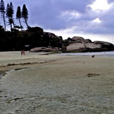  Florianópolis - esgoto na praia da joaquinaIndexador:                                 