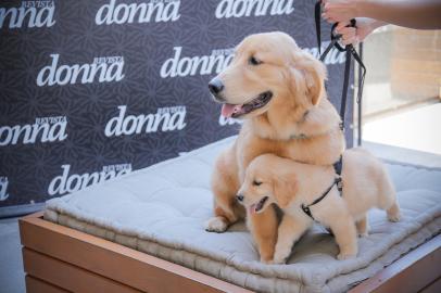 Foto: Lacerda Fotografia, Divulgação.donna pet dayImportação Donnahttp://cdn.revistadon