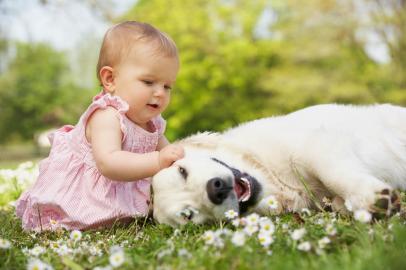 (Monkey Business Images / Shutterstock)menininhaderosafazendocarinhonocachorronagramaImp