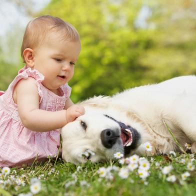 (Monkey Business Images / Shutterstock)menininhaderosafazendocarinhonocachorronagramaImp