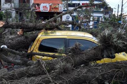  Em Santana do Livramento, na Fronteira Oeste, um vendaval arrancou 12 árvores ¿ a maioria na região central da cidade. Integrantes da Defesa Civil municipal entregaram lonas para moradores de seis casas, nos bairros Prado e Simon Bolivar, que ficaram parcialmente destelhadas. Fotos: Divulgação/ Defesa Civil de Santana do Livramento