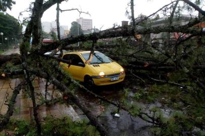  Ventos com mais de 90km/h derrubaram árvores e destelharam casas em Santana do Livramento