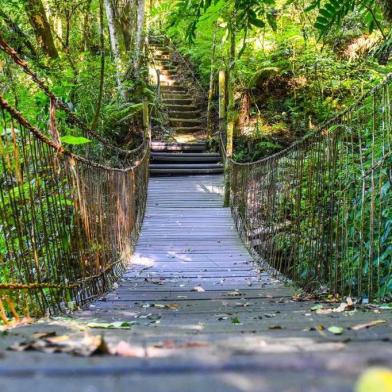 Ao contrário de anos anteriores, o Parque Mato Sartori, em Caxias do Sul, ficará aberto à comunidade no mês de janeiro. Os visitantes poderão fazer visitas guiadas com educadores ambientais às 9h e às 14h, de segunda a sexta-feira. 