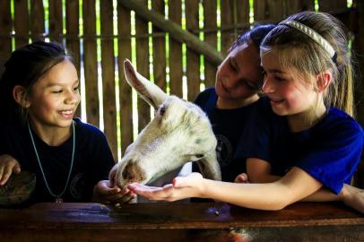  PORTO ALEGRE, RS, BRASIL, 11-12-2018: Estudantes da escola estadual Simões Lopes Neto visitam o Sítio do Mato, no bairro Belém Velho, para aprender sobre o campo. Eles podem alimentar e tocar nos animais e conhecer e colher plantas na horta. (Foto: Mateus Bruxel / Agência RBS)