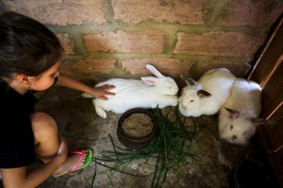  PORTO ALEGRE, RS, BRASIL, 11-12-2018: Estudantes da escola estadual Simões Lopes Neto visitam o Sítio do Mato, no bairro Belém Velho, para aprender sobre o campo. Eles podem alimentar e tocar nos animais e conhecer e colher plantas na horta. (Foto: Mateus Bruxel / Agência RBS)