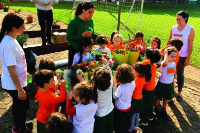 dia de campo infantil da isla sementes