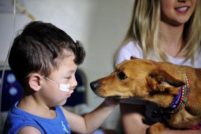 CAXIAS DO SUL, RS, BRASIL, 21/12/2018Crianças internadas no Hospital Geral de Caxias recebem visita de cachorros da ONG S.O.S. Peludos.João Pedro Zanol de Souza Pimentel, 3 anos, brinca com a cadelinha FOX.