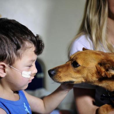 CAXIAS DO SUL, RS, BRASIL, 21/12/2018Crianças internadas no Hospital Geral de Caxias recebem visita de cachorros da ONG S.O.S. Peludos.João Pedro Zanol de Souza Pimentel, 3 anos, brinca com a cadelinha FOX.