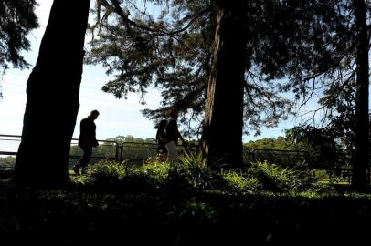  CAXIAS DO SUL, RS, BRASIL, 28/12/2018Sol e calor na manhã de4 quinta em Caxias. Imagens do Jardim Botânico da cidade. (Lucas Amorelli/Agência RBS)