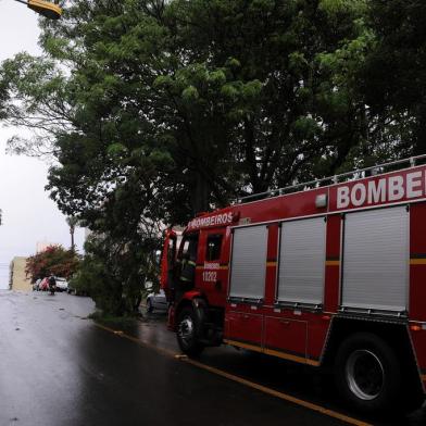  CAXIAS DO SUL, RS, BRASIL, 07/01/2019 - Bombeiros removem galho caído de árvore, na rua Alfredo chaves, quase esquina com Feijó júnior, no bairro são Pelegrino. (Marcelo Casagrande/Agência RBS)