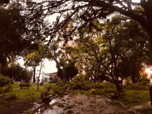 Anderson Petroceli / Praça Barão do Rio Branco