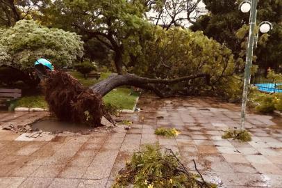 Temporal causa estragos na Praça Barão do Rio Branco, em Uruguaiana.