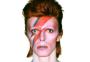 David Bowie e a influência na moda: 5 inspirações do cantor para usar e montar looks cheios de estilo