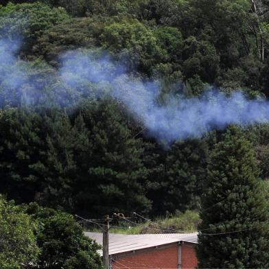  CAXIAS DO SUL, RS, BRASIL, 14/01/2018 - Reportagem sobre a qualidade do ar em Caxias do Sul. (Marcelo Casagrande/Agência RBS)