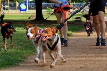  PORTO ALEGRE -RS - BR - 14.01.2019.Canicross, esporte em que as pessoas correm com os cachorros.Treino do Canicross na praça da Encol.FOTÓGRAFO: TADEU VILANI AGÊNCIARBS