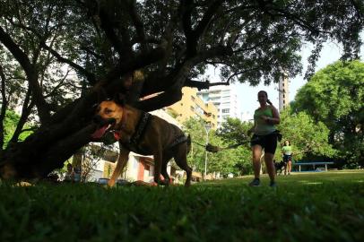  PORTO ALEGRE -RS - BR - 14.01.2019.Canicross, esporte em que as pessoas correm com os cachorros.Treino do Canicross na praça da Encol.FOTÓGRAFO: TADEU VILANI AGÊNCIARBS