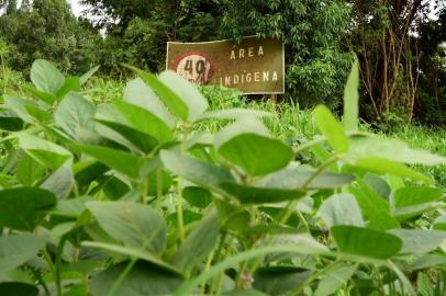 Reserva indígena Mais Lavouras, Aldeia Carreteiro, em Água Santa/RS. (Diogo Zanatta/Especial)