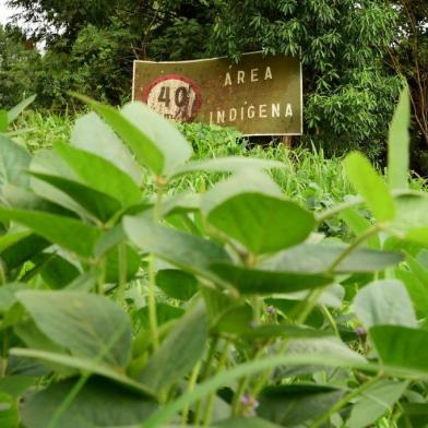 Reserva indígena Mais Lavouras, Aldeia Carreteiro, em Água Santa/RS. (Diogo Zanatta/Especial)