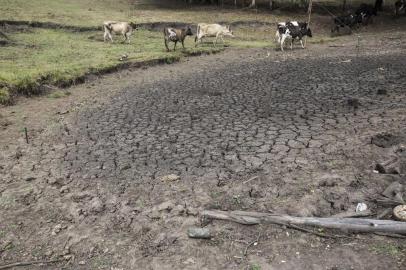  HULHA NEGRA, RS, BRASIL, 23/02/2018 - Resumo da estiagem. Super Edição que fará um resumo dos locais passados durante a semana.(FOTOGRAFO: JEFFERSON BOTEGA / AGENCIA RBS)Indexador: Jefferson Botega