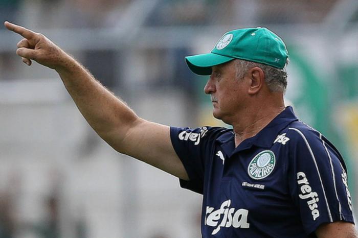 Divulgaçao / Palmeiras