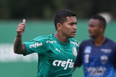 dudu - palmeiras