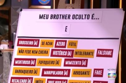 Big Brother Brasil, BBB 19