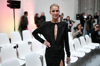 céline dion, cantora