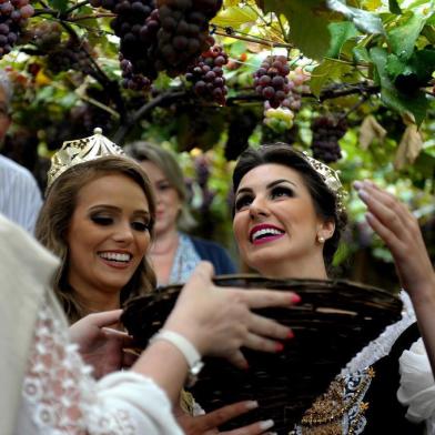  CAXIAS DO SUL, RS, BRASIL, 3/02/2019Abertura da colheita da uva de Caxias no São Bráz. (Lucas Amorelli/Agência RBS)