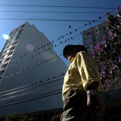  CAXIAS DO SUL, RS, BRASIL, 06/02/2019Pombos no centro da cidade. (Lucas Amorelli/Agência RBS)