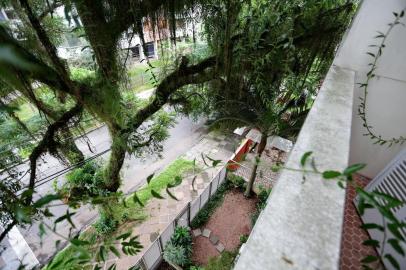  PORTO ALEGRE, RS, BRASIL, 12/02/2019: Mudança na lei pode facilitar a pode de árvores. Na esquina da Avenida Bagé com a Palmeira, no bairro Petrópolis, moradores de um edifício pedem há anos que a prefeitura pode a árvore que tem em frente ao prédio, porque os galhos entram nas sacadas e impedem que uma empresa faça uma obra de impermeabilização na marquise. (CAMILA DOMINGUES/AGÊNCIA RBS)