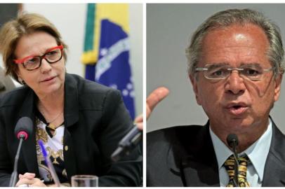 Ministra da Agricultura, Tereza Cristina, ministro da Economia, Paulo Guedes