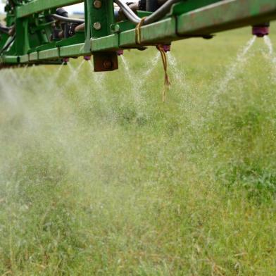  PASSO FUNDO, RS, BRASIL, 04/09/2018: Glifosato é usado na preparação do solo para o plantio de soja pelo sistema de cultivo direto.(FOTO: Diogo Zanatta / Especial )