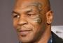 Mike Tyson revela ter oferecido 10 mil dólares para lutar contra gorila em zoológico