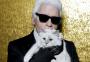 Gata de Karl Lagerfeld, Choupette, pode herdar parte da fortuna do estilista da Chanel