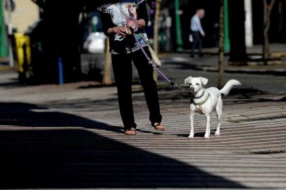  CAXIAS DO SUL, RS, BRASIL, 20/02/2019Sol forte e calor na manhã de Caxias. (Lucas Amorelli/Agência RBS)