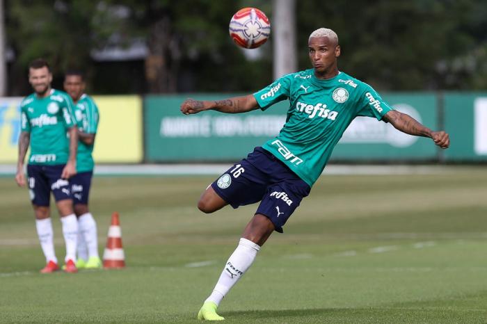 Palmeiras / Divulgação